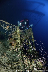 Wreck "Valfiorita", sunk during the Second World War, fol... by Alessandro Pagano 